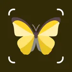 Identify Insects with AI icon