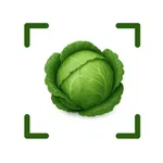 Noen: Nutrition Tracker icon
