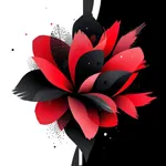 FlashCardE73 French icon