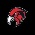 Bellingham Bayhawks icon