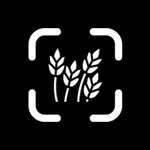 Gluten Free Scanner - NoGlut icon