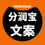 分润宝文案 icon