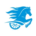 SILVER CHARIOT SHOPPING icon