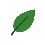 拾光 - 你的专属戒色助手 icon