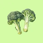 Meal & Symptom - FoodLog icon