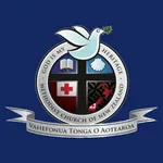 Falengā Meesi icon