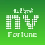 NV Fortune icon