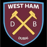 Dubai Hammers icon