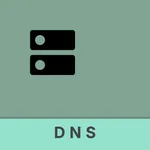 dnSpeedtest icon