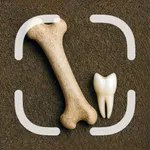 Bone, Skull & Tooth Identifier icon