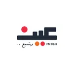 Radio Ain FM icon