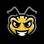 Bee Strong Fitness icon