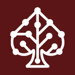 Poker AIlyzer icon