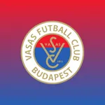 Vasas FC icon