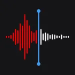 Voice Memos - Voice Recorderㅤ icon