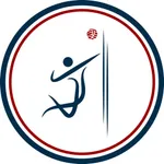 V2 Volleyball icon