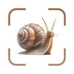 Snail Identifer: AI Scanner icon