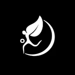 Persianball icon