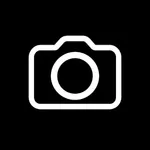 BlinkPic Business icon