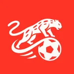 速球豹 icon