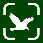 Bird Identifier: AI icon