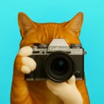 Exifmark - Show Your Shot icon