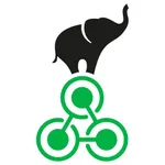 Lightfoot Connect icon