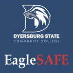EagleSAFE DSCC icon