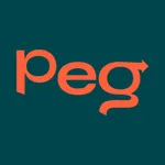 PegCard icon