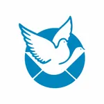 信鸽-即时聊天 icon