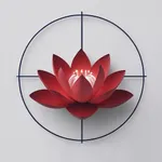 Focus: the result system icon