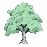 All Good Dispensary icon