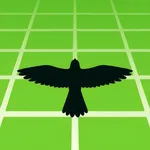 Life Timer - Remember to Live icon