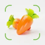Vegetable Identifier: AI Food icon
