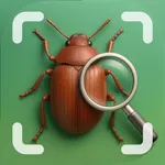 Picture Insect Bug Identifier・ icon