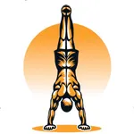 FitFlex Acro icon