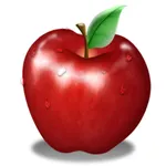 Gristedes Market icon