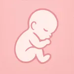 LittleLife 3D 4D Ultrasound 8K icon