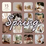 Spring aesthetic backgrounds icon