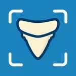 Shark Tooth Identifier icon