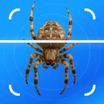 Insect Identifier - BugFlow icon