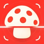 Mushroom Identifier: MushFlow icon