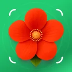 Plant Identifier: PlantFlow icon