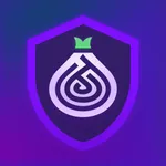 VPN + TOR Browser icon