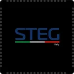STEG icon