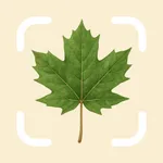 Tree Identifier by TreePic icon