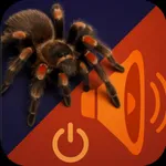 AR Spiders: Prank Sounds icon