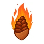 ПолШишки | Ачинск icon