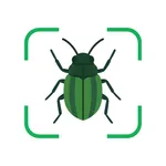 Bug Identifier: Buggo icon