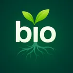 Root Rush - Roots to Smarts icon
